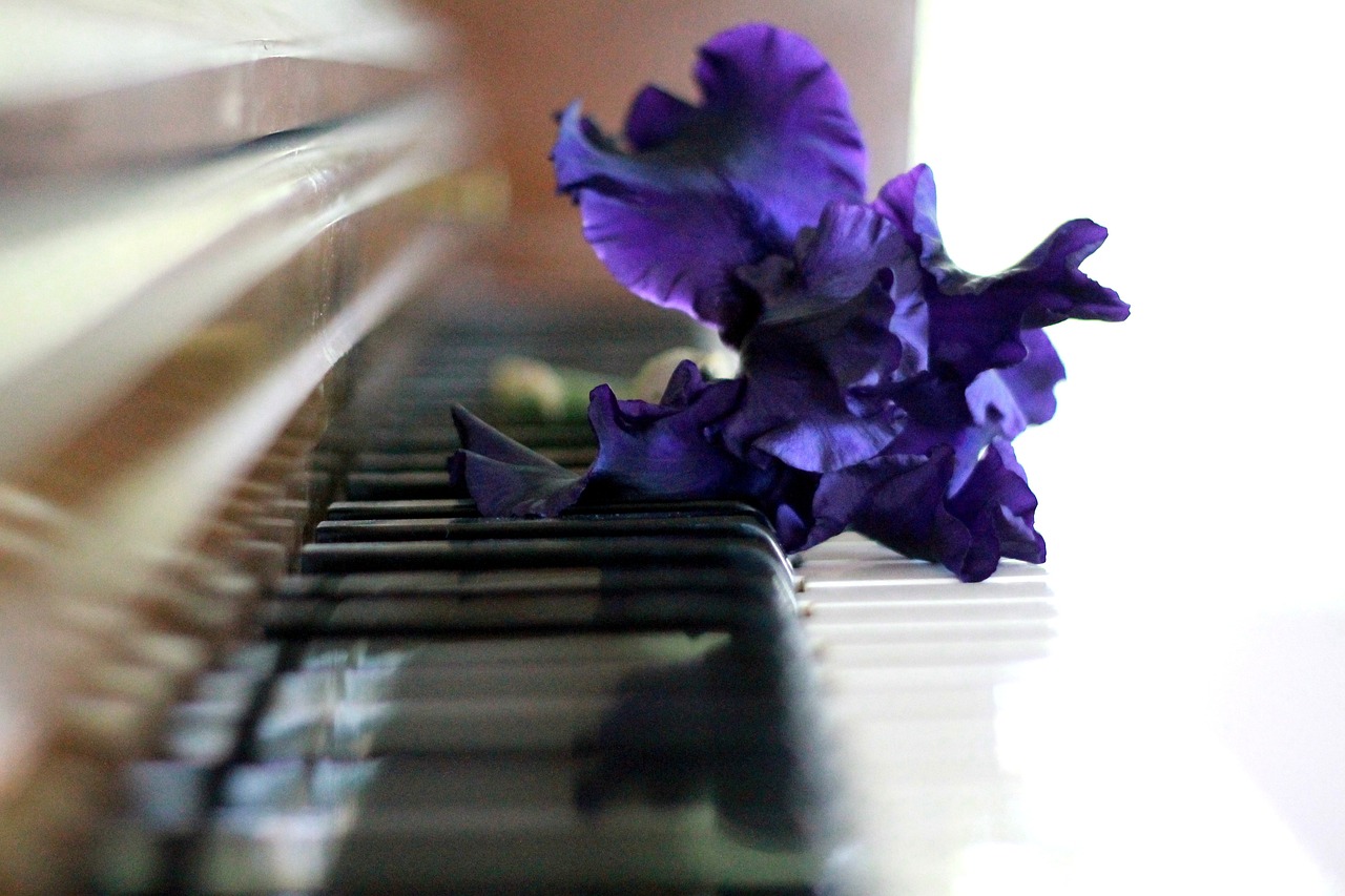 piano, iris on piano, flower wallpaper-756955.jpg